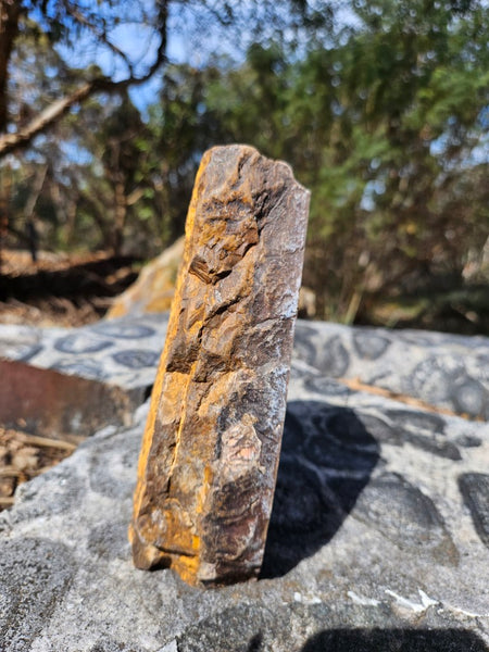 Polished Outback Jasper  OJ199