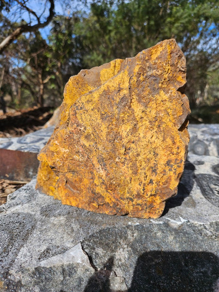Polished Outback Jasper  OJ199