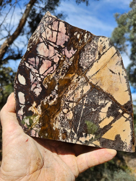 Polished Outback Jasper  OJ199
