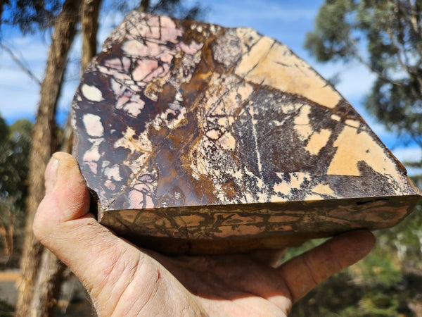 Polished Outback Jasper  OJ199