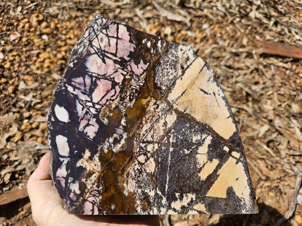 Polished Outback Jasper  OJ199