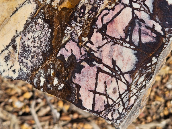 Polished Outback Jasper  OJ199