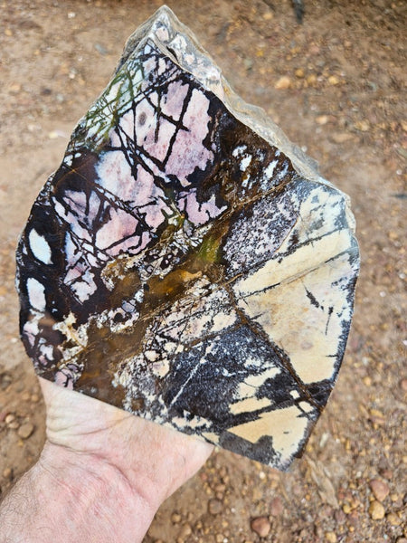 Polished Outback Jasper  OJ199