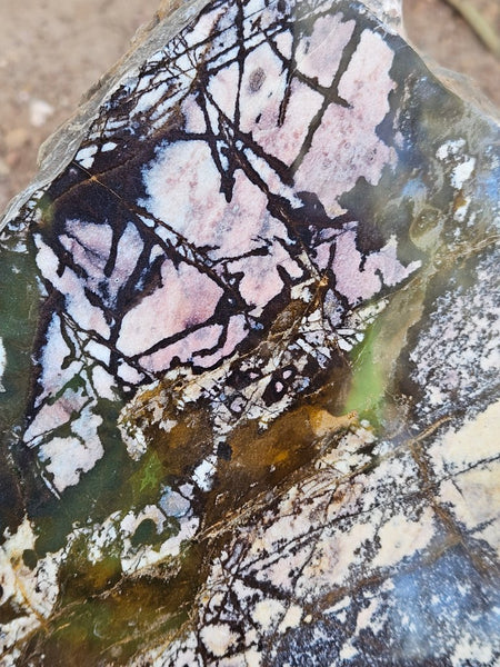 Polished Outback Jasper  OJ199
