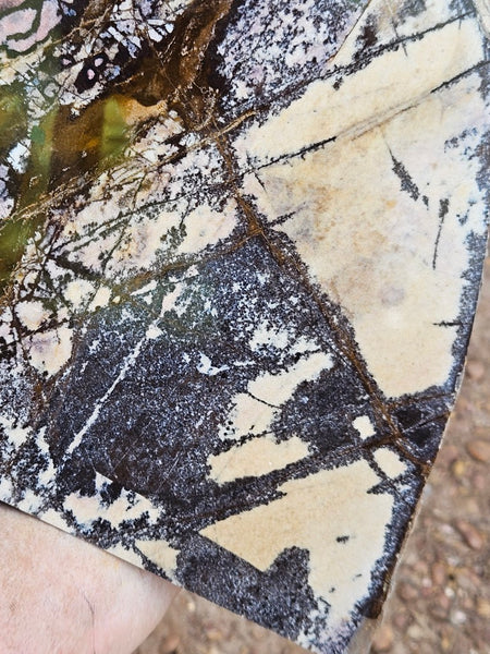 Polished Outback Jasper  OJ199