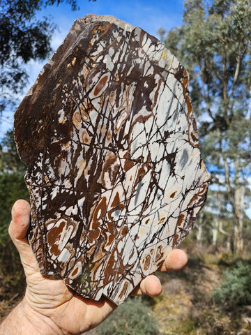 Polished Outback Jasper slab OJ198