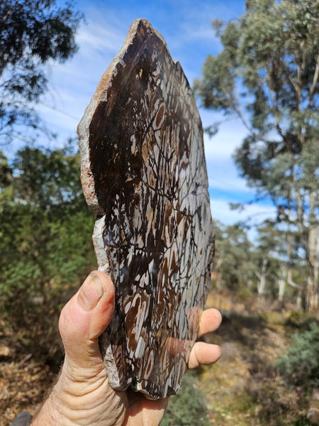 Polished Outback Jasper slab OJ198