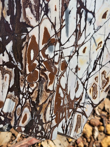 Polished Outback Jasper slab OJ198