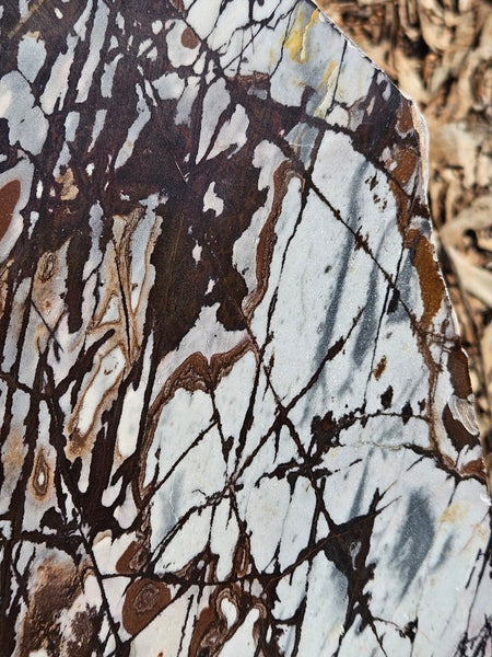 Polished Outback Jasper slab OJ198