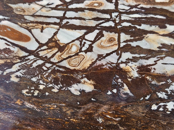 Polished Outback Jasper slab OJ198