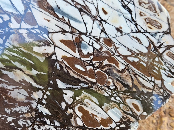 Polished Outback Jasper slab OJ198