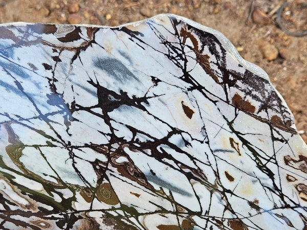 Polished Outback Jasper slab OJ198