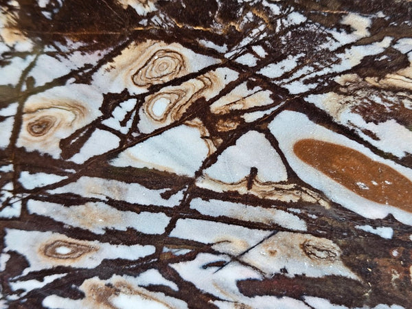 Polished Outback Jasper slab OJ198