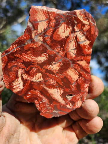 Polished  Snakeskin Jasper slab SS214