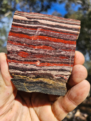Polished  Snakeskin Jasper slab SS213