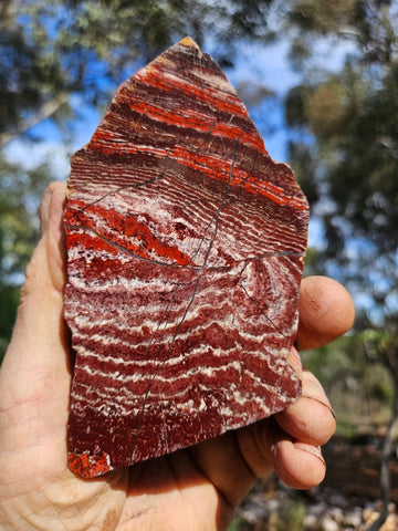 Polished Snakeskin Jasper SS216