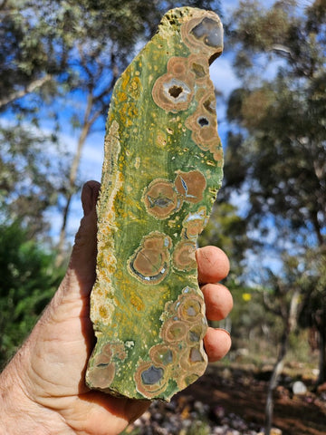 Polished Rainforest Jasper RFJ152