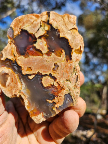 Polished Rainforest Jasper RFJ153
