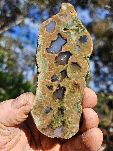 Polished Rainforest Jasper slab RFJ154