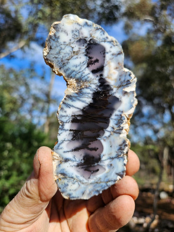 Polished Dendritic Opal slab DO229