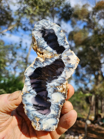 Polished Dendritic Opal slab DO230