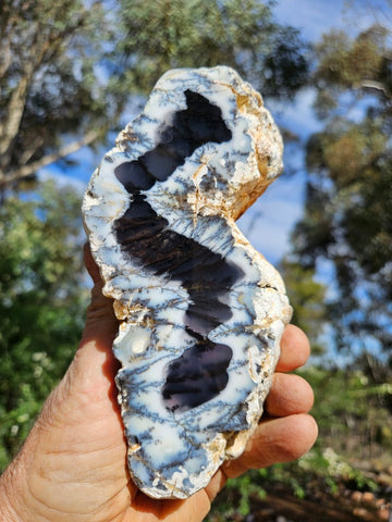 Polished Dendritic Opal DO228