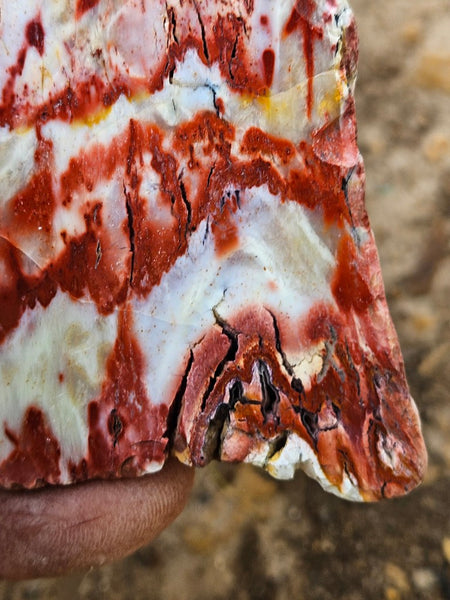 Polished Killaloe Opal slab KO127