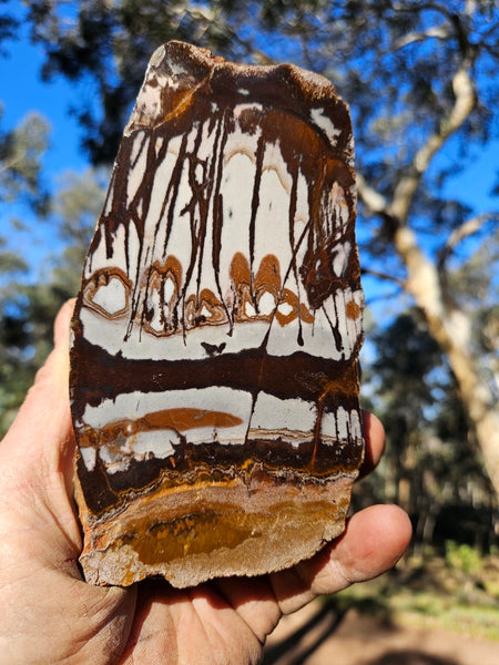 Polished Outback Jasper  OJ200