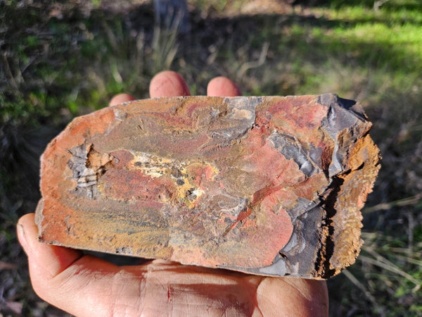 Polished Outback Jasper  OJ200