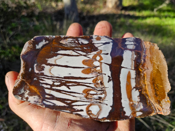 Polished Outback Jasper  OJ200