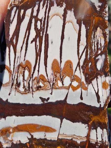 Polished Outback Jasper  OJ200