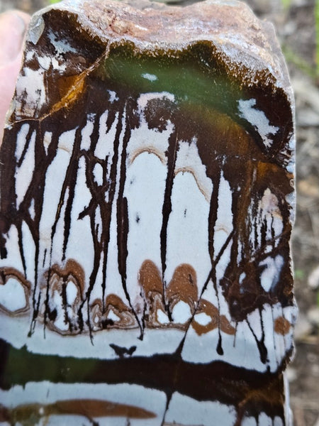 Polished Outback Jasper  OJ200