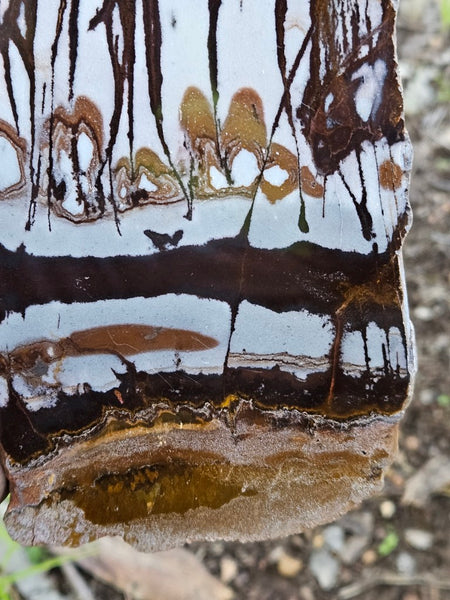 Polished Outback Jasper  OJ200