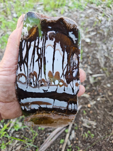 Polished Outback Jasper  OJ200