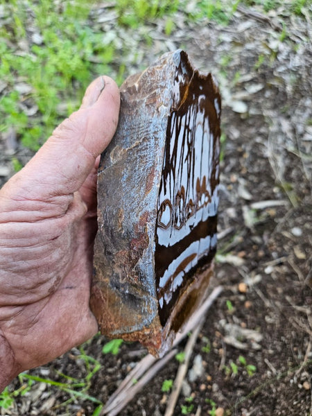 Polished Outback Jasper  OJ200