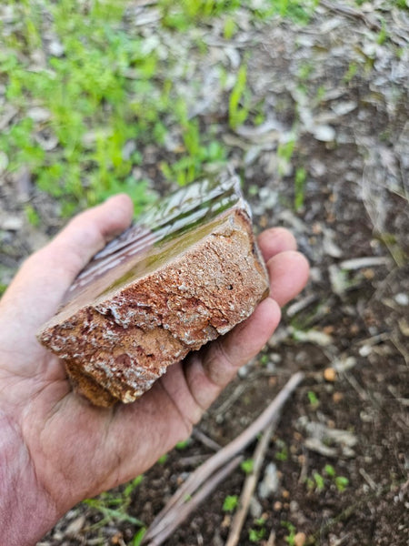 Polished Outback Jasper  OJ200