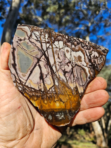Polished Outback Jasper slab OJ196