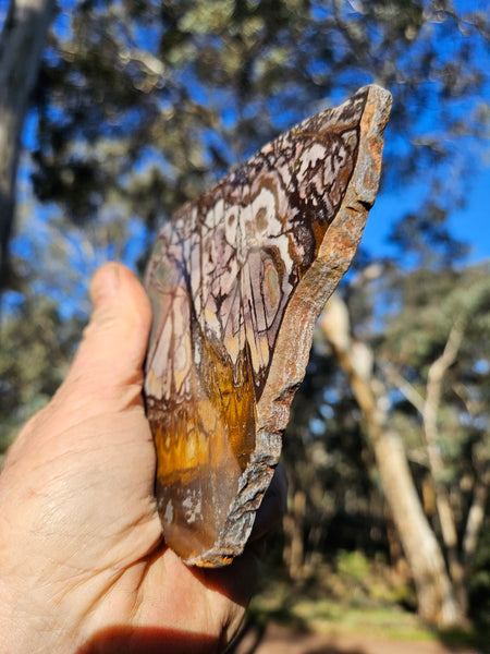 Polished Outback Jasper slab OJ196