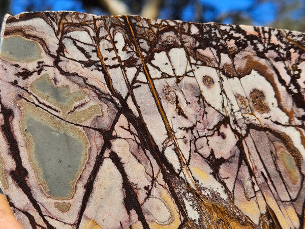 Polished Outback Jasper slab OJ196