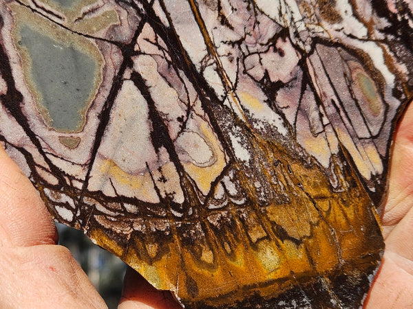 Polished Outback Jasper slab OJ196