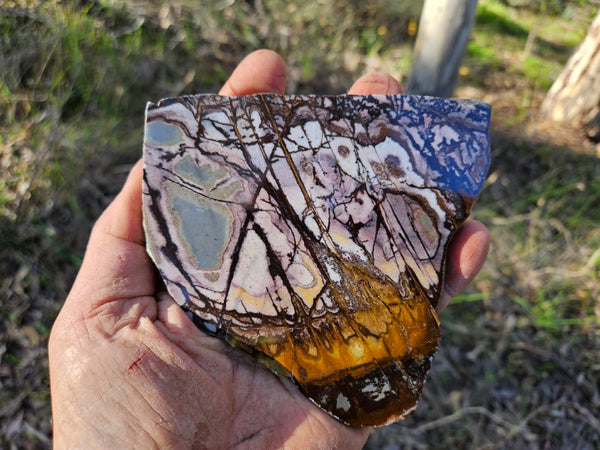 Polished Outback Jasper slab OJ196