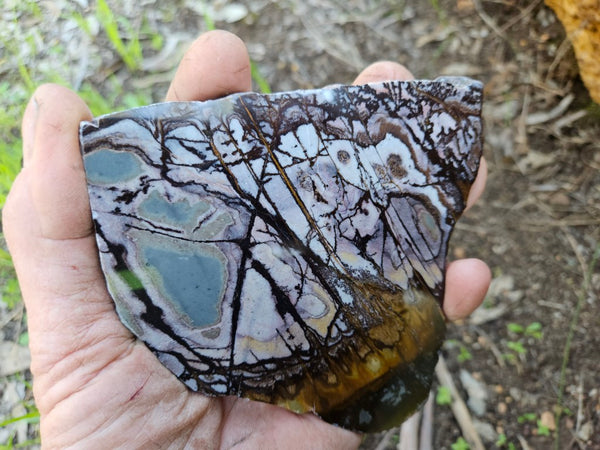 Polished Outback Jasper slab OJ196