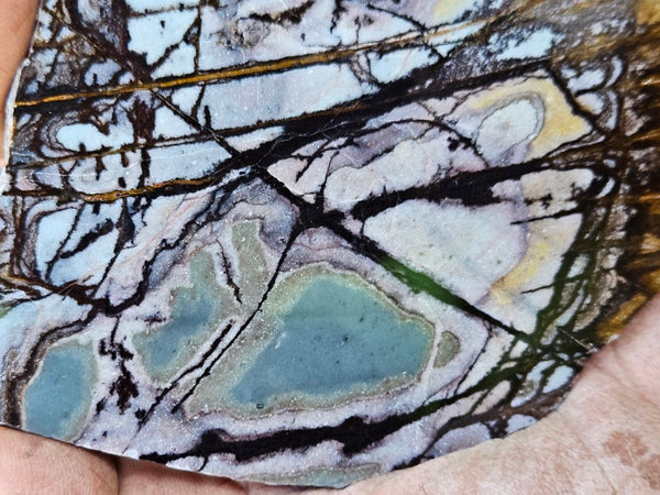 Polished Outback Jasper slab OJ196