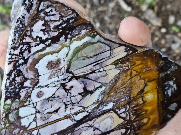 Polished Outback Jasper slab OJ196