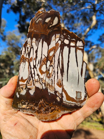 Polished Outback Jasper slab OJ197