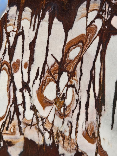 Polished Outback Jasper slab OJ197