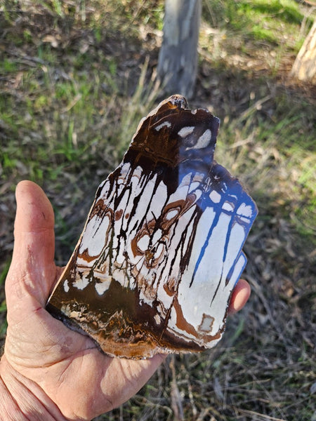 Polished Outback Jasper slab OJ197