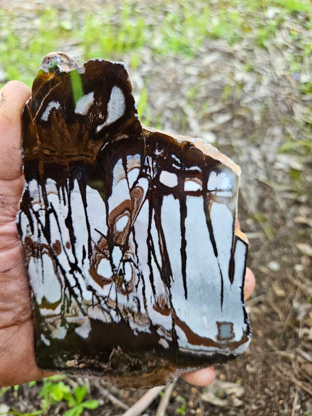 Polished Outback Jasper slab OJ197