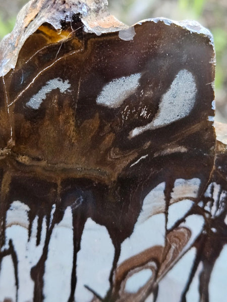 Polished Outback Jasper slab OJ197