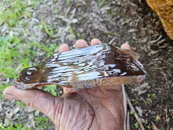 Polished Outback Jasper slab OJ197